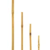 Bambusstab 60 cm