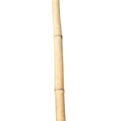 Bambusstab 60 cm