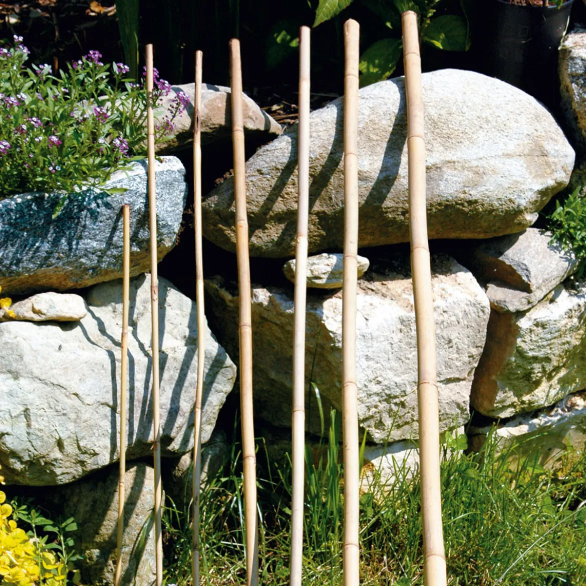 Bambusstab 60 cm