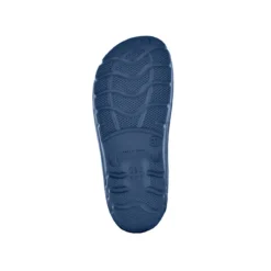 BlackfoxClog Evasion