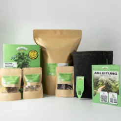 Bud Voyage Anzucht-Set Easy-Grow-Kit