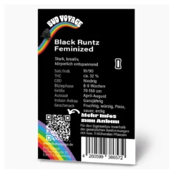 Bud Voyage Hanfsamen Black Runtz Feminisiert