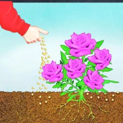 Compo BIO Rosen Langzeit-Dünger mit Schafwolle 0,75 L