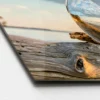 Glas-Art Drop On Wood 30 x 80 Glasbild