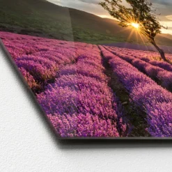 Glas-Art Silence 50 x 125 cm Glasbild