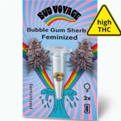 Hanfsamen BudVoyage Bubble Gum Sherb Fem3 Samen