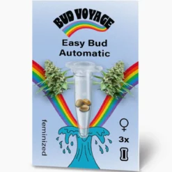Hanfsamen BudVoyage Hippie Hanf- EasyBud Auto, 3 Samen