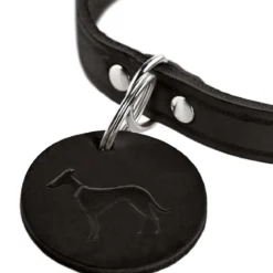 Hunter Halsband Aalborg schwarz Größe S