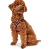 Hunter Hundegeschirr Hilo Comfort rot Größe XXS-XS