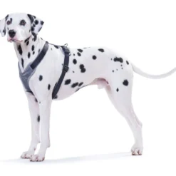 Hunter Hundegeschirr Neopren schwarz-grau Größe XS