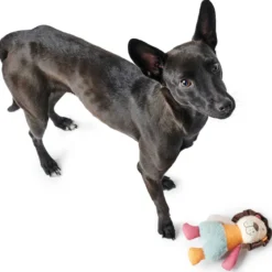 Hunter Hundespielzeug Muli Löwe mehrfarbig 18 cm