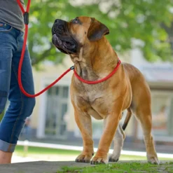 Hunter Retriever-Leine Freestyle rot 210 x 1 cm