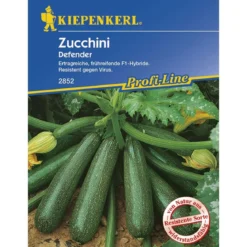 Kiepenkerl Zucchini Defender F1 Profi-Line