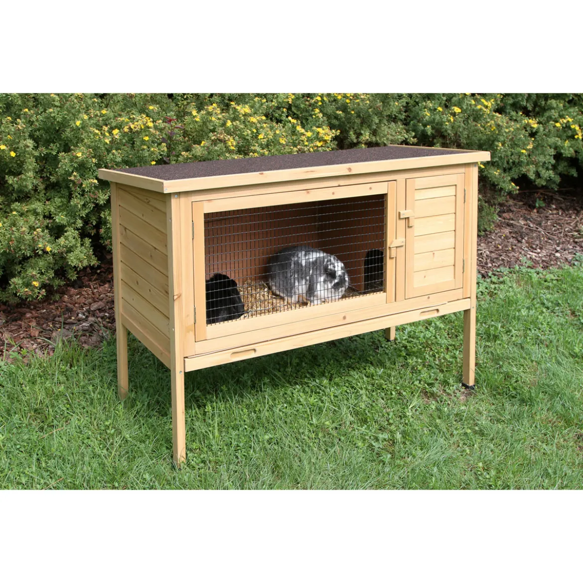 Kleintierstall Buddy 116 x 52 x 82 cm