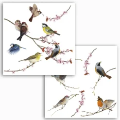 KomarFenstersticker Birds 31x31 cm