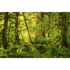 KomarVlies Fototapete Ancient World 400x250 cm