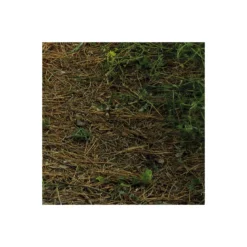 KomarVlies Fototapete Blütenzauberwald 450x280 cm