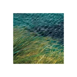 KomarVlies Fototapete Breath Taking 400x250 cm