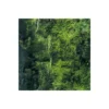 KomarVlies Fototapete Glenevin Falls 200x250 cm