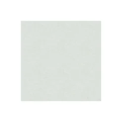 KomarVlies Fototapete Green Dust 300x280 cm