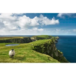KomarVlies Fototapete Green Ireland 450x280 cm
