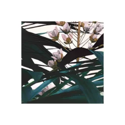 KomarVlies Fototapete Jungle Morning 400x250 cm