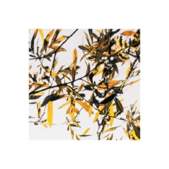 KomarVlies Fototapete Lakeside 300x250 cm