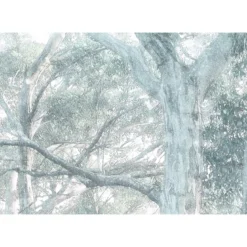 KomarVlies Fototapete Magic Trees 300x280 cm