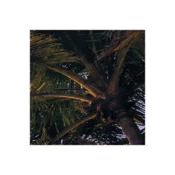 KomarVlies Fototapete Palmtrees on Beach 200x250 cm
