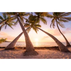 KomarVlies Fototapete Reaching the Sun 400x250 cm