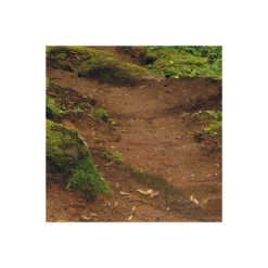 KomarVlies Fototapete The Path 200x250 cm