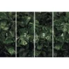 KomarVlies Fototapete Tropical Wall 400x250 cm
