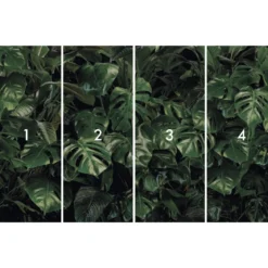 KomarVlies Fototapete Tropical Wall 400x250 cm