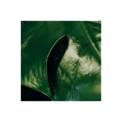 KomarVlies Fototapete Tropical Wall 400x250 cm