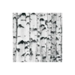 KomarVlies Fototapete Woods 400x270 cm
