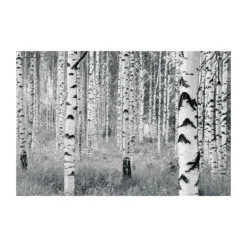 KomarVlies Fototapete Woods 400x270 cm