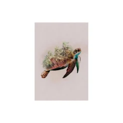 KomarWandbild Animals Paradise Turtle 50x70 cm
