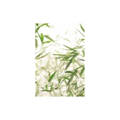 KomarWandbild Bamboo Leaves 50x70 cm