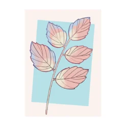 KomarWandbild Cinderella Plant 40x50 cm