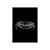 KomarWandbild Crab Black 50x70 cm