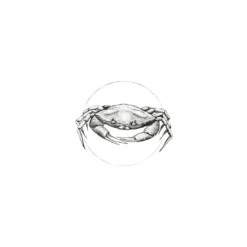 KomarWandbild Crab White 50x70 cm