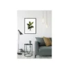 KomarWandbild Elastica Leaf 50x70 cm