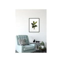 KomarWandbild Elastica Leaf 50x70 cm