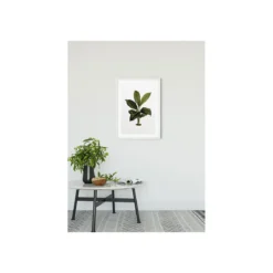 KomarWandbild Elastica Leaf 50x70 cm