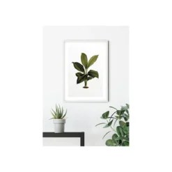 KomarWandbild Elastica Leaf 50x70 cm