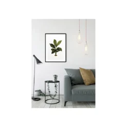 KomarWandbild Elastica Leaf 40x50 cm