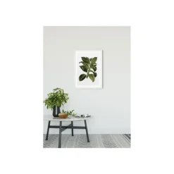 KomarWandbild Elastica Tree 50x70 cm