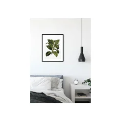 KomarWandbild Elastica Tree 40x50 cm