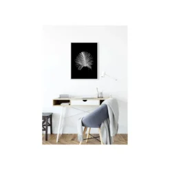 KomarWandbild Feather Black 50x70 cm