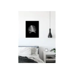 KomarWandbild Feather Black 50x70 cm